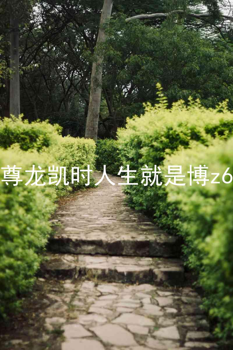 尊龙凯时人生就是博z6