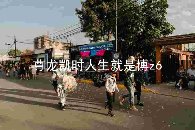 尊龙凯时人生就是博z6